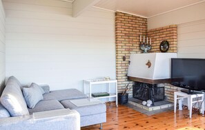 Fernseher, Kamin