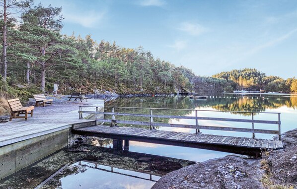 Une jetée en bois s’étendant sur un lac paisible, entourée d’une forêt dense.