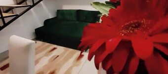 Studio Apartment with Netflix and AC