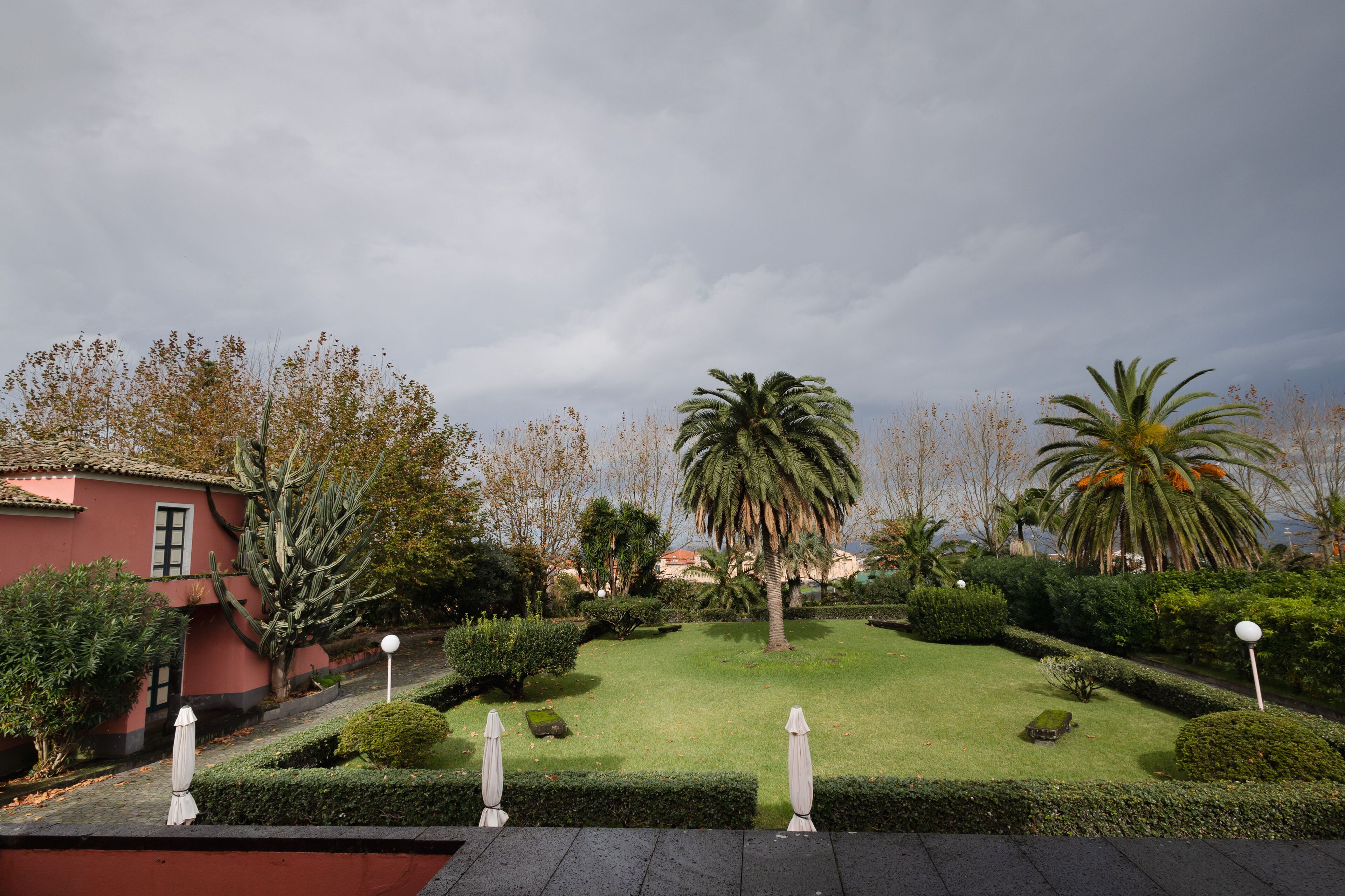 Un giardino curato con diverse piante e una palma, un edificio rosso con una finestra, e un cielo sereno.