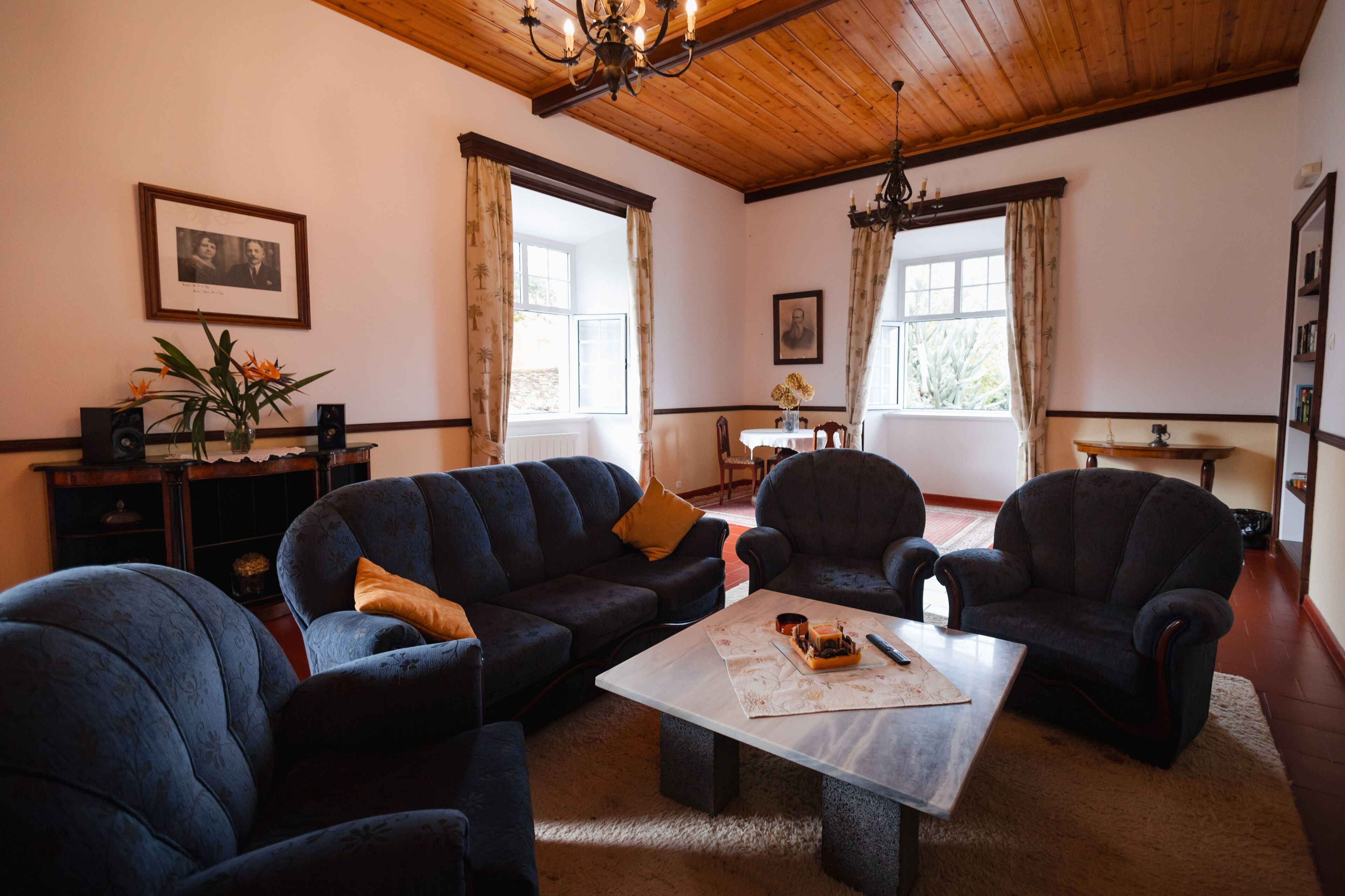 Deluxe Villa | Living area