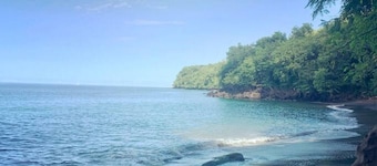 Turtle Cottage-Beach View