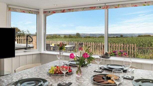 Un coin repas avec une table dressée pour quatre personnes, un téléviseur et une vue sur un vignoble.