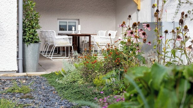 Une terrasse extérieure avec une table et des chaises, entourée de différentes plantes et fleurs.