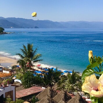 This is the view from the balcony sunny mornings and shaded afternoons