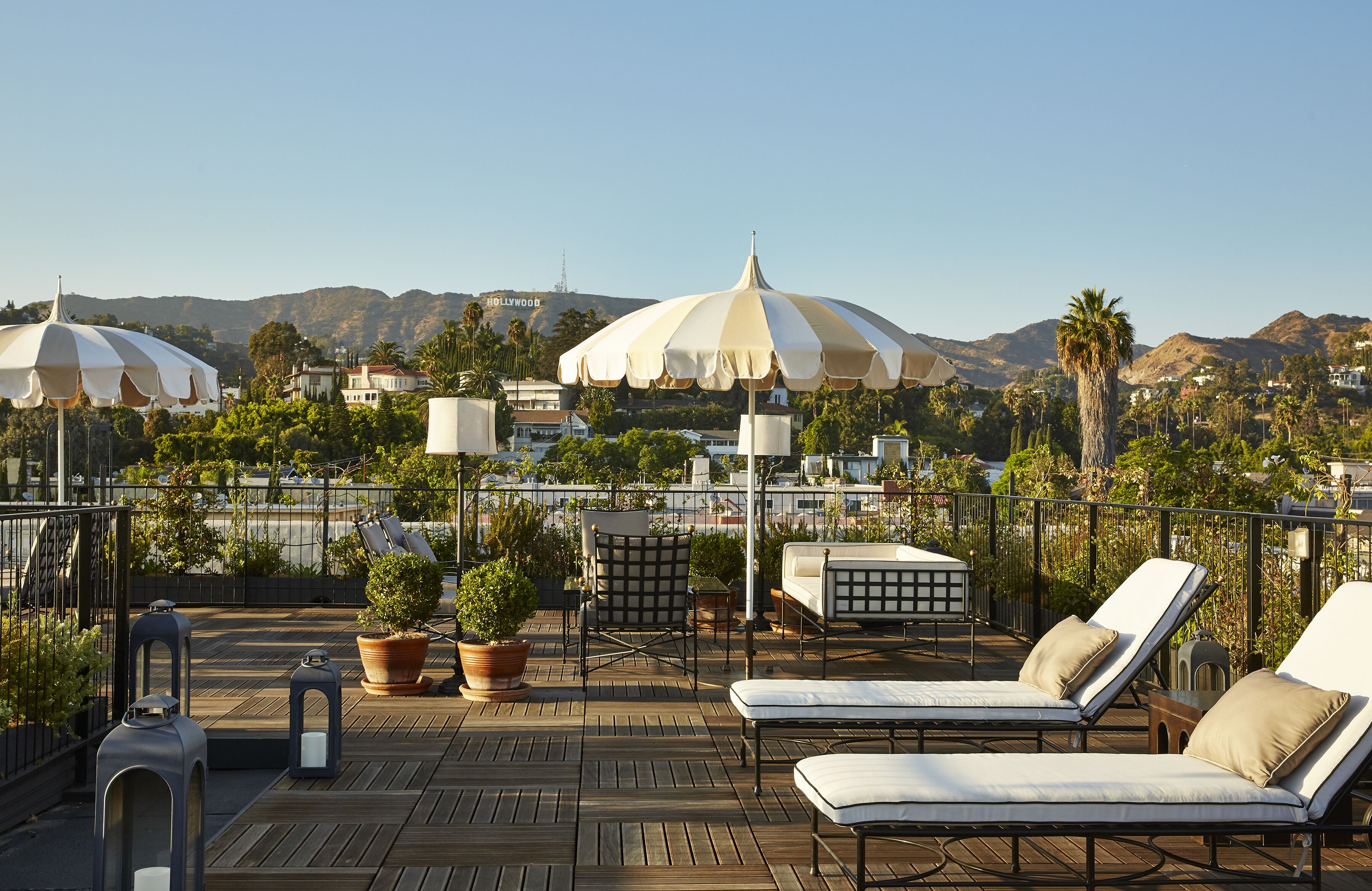 テラス / パティオ