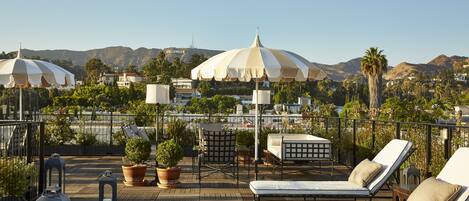 テラス / パティオ