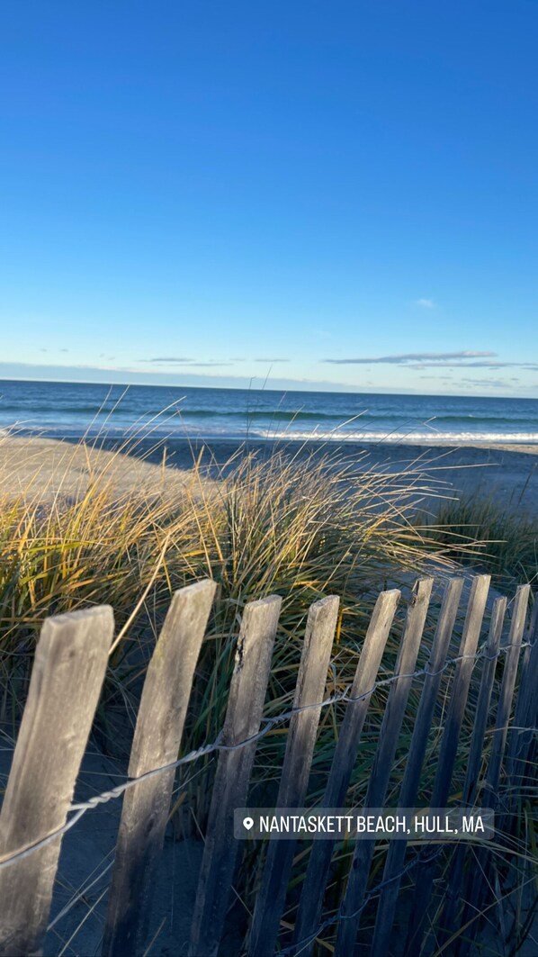 Liegestühle, Strandtücher