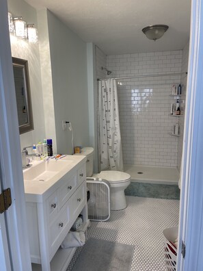 Features a sleek vanity, sink, and spacious shower area with a glass door and rain showerhead.