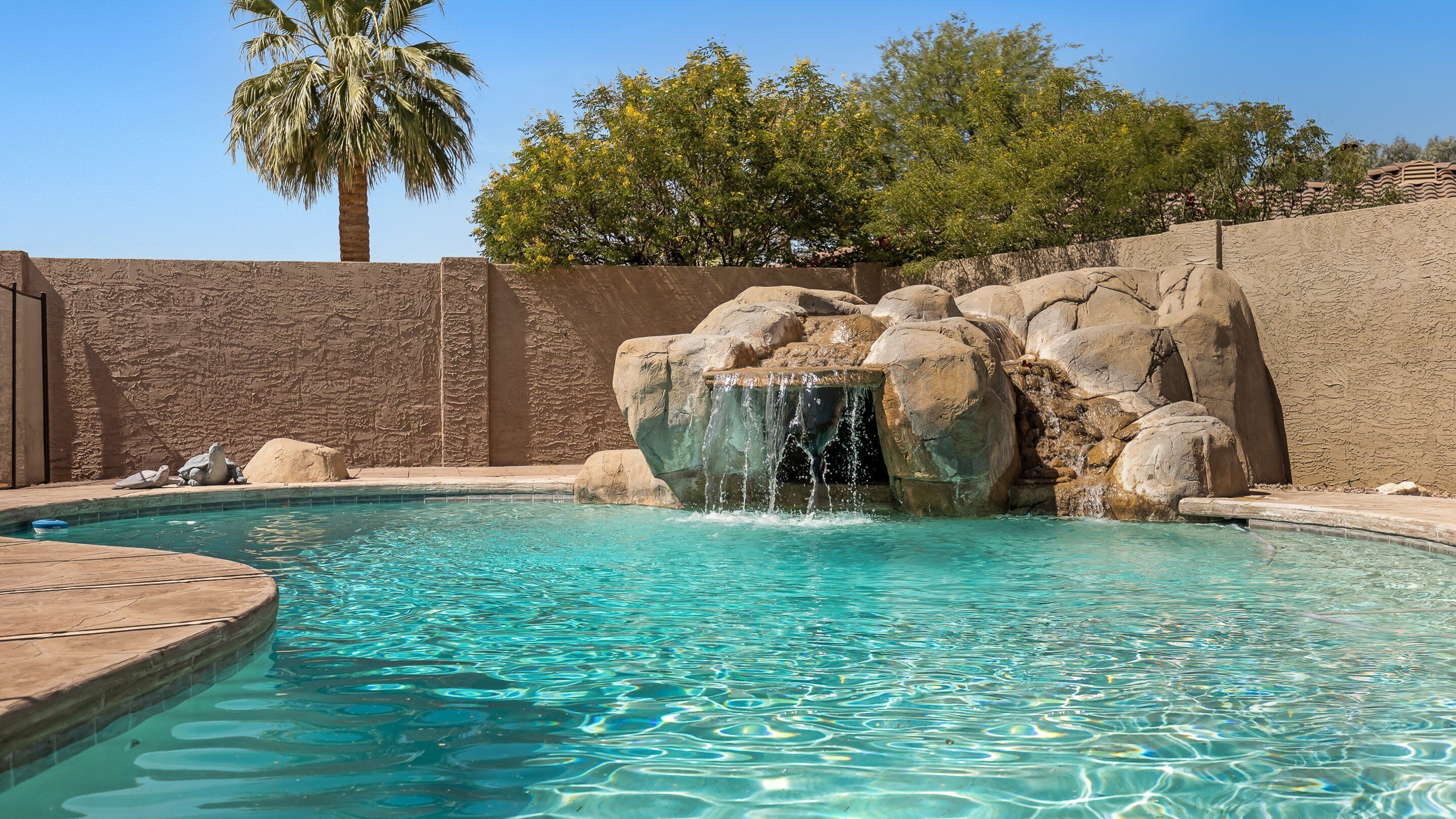 A clear pool with a waterfall feature surrounded by rocks and a palm tree.