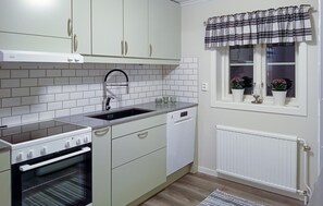 Fridge, oven, stovetop, dishwasher