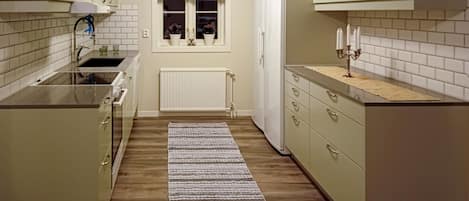 Fridge, oven, stovetop, dishwasher