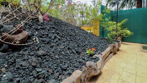 A garden with a variety of plants and a small hill of volcanic rocks.