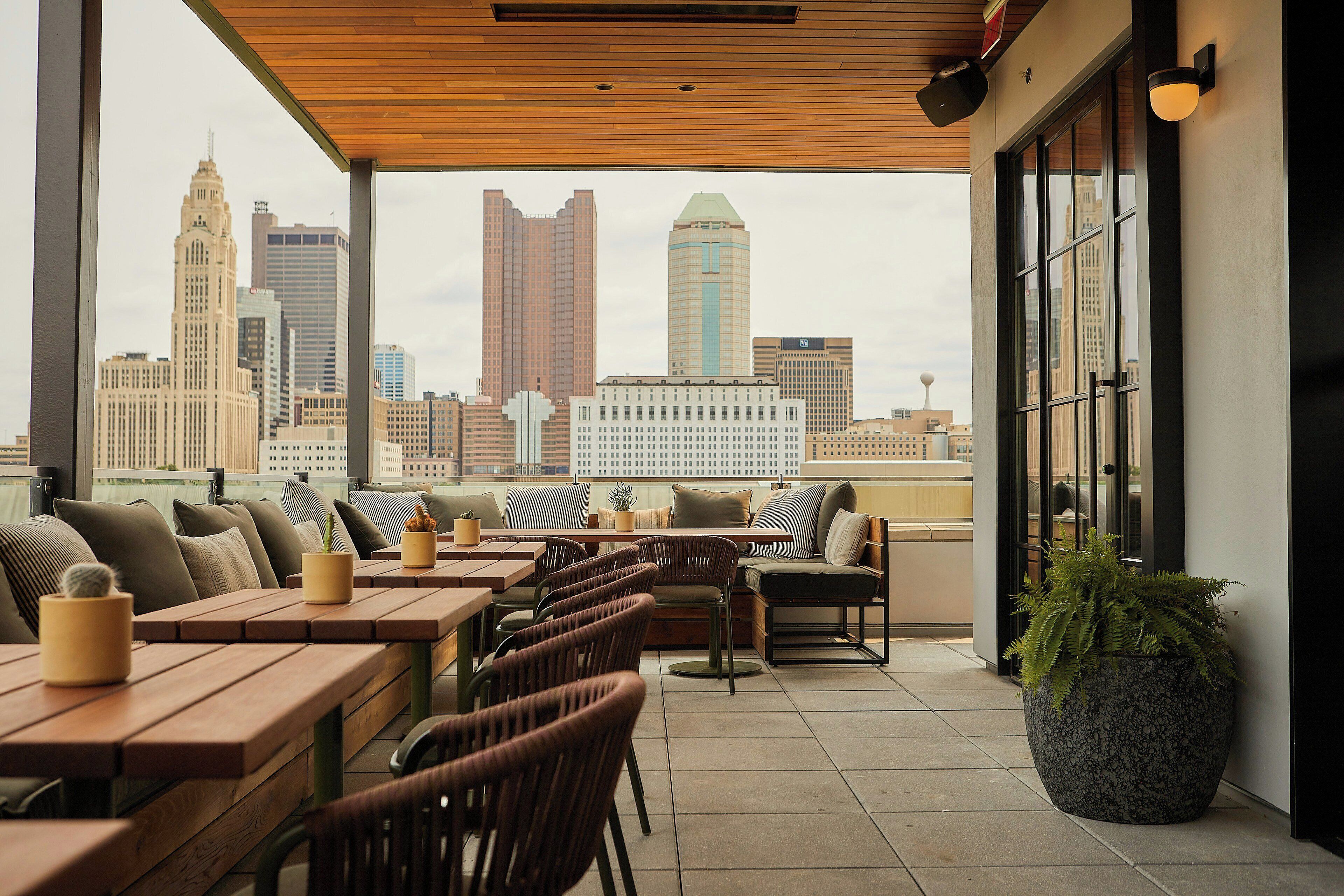 Terraza en la azotea con mesas y sillas de madera, una planta grande en maceta y vistas del horizonte de la ciudad.