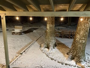 Property grounds - Meticulous House in Split Rock (Lake Harmony)