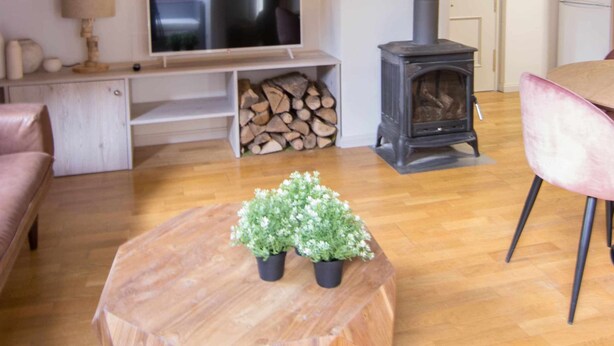 Een gezellige woonkamer met een houten plafond, een televisie, een open haard en een ronde houten salontafel met planten.