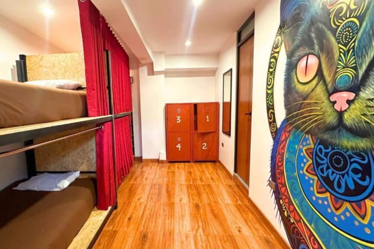 Una habitación con literas, una cortina roja, piso de madera y un mural colorido de un gato.
