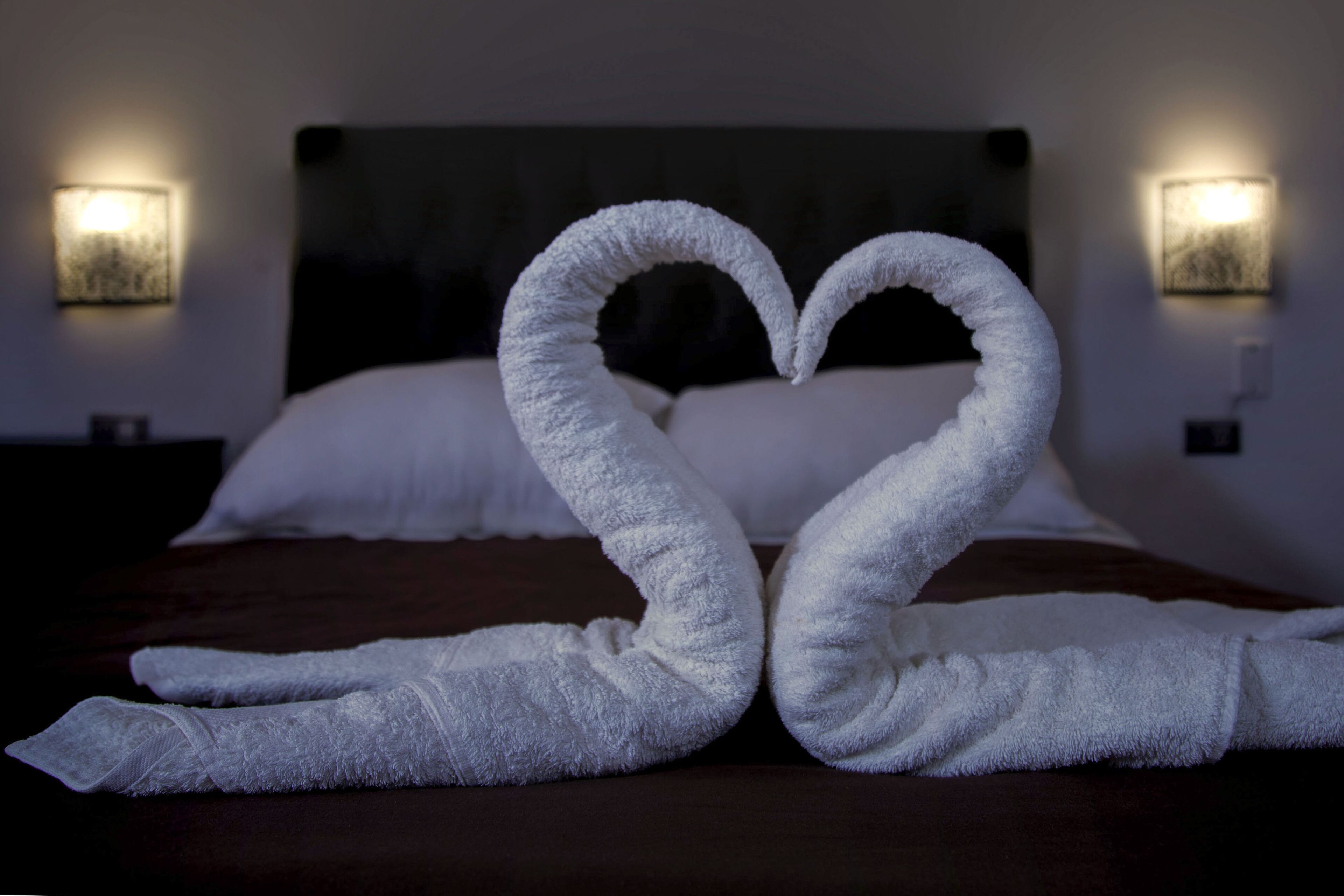 Photo - Magic Packer Hostel