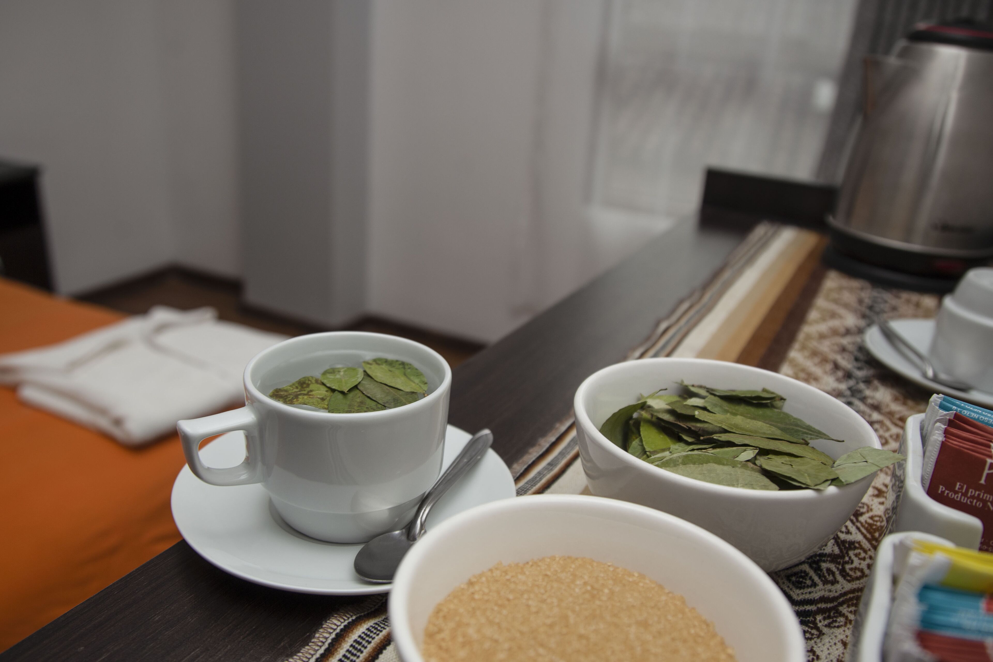 Photo - Magic Packer Hostel