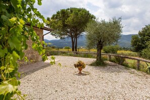 A gravel courtyard with a stone wall, a wooden fence, and a large tree.