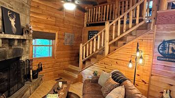 Smart TV, chimenea, reproductor de DVD, libros