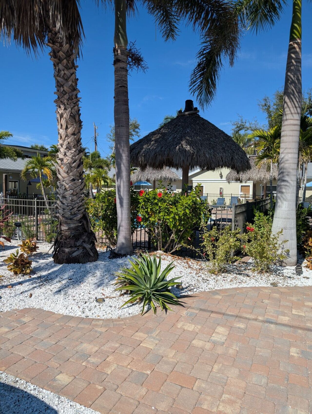 Een tropisch resort met palmbomen, een constructie met rieten dak en een verharde looppad.