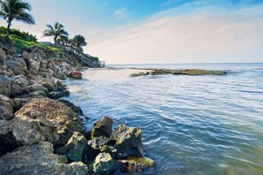 Beach nearby - #5-TwinPalms-Junior Suite (Siesta Key)