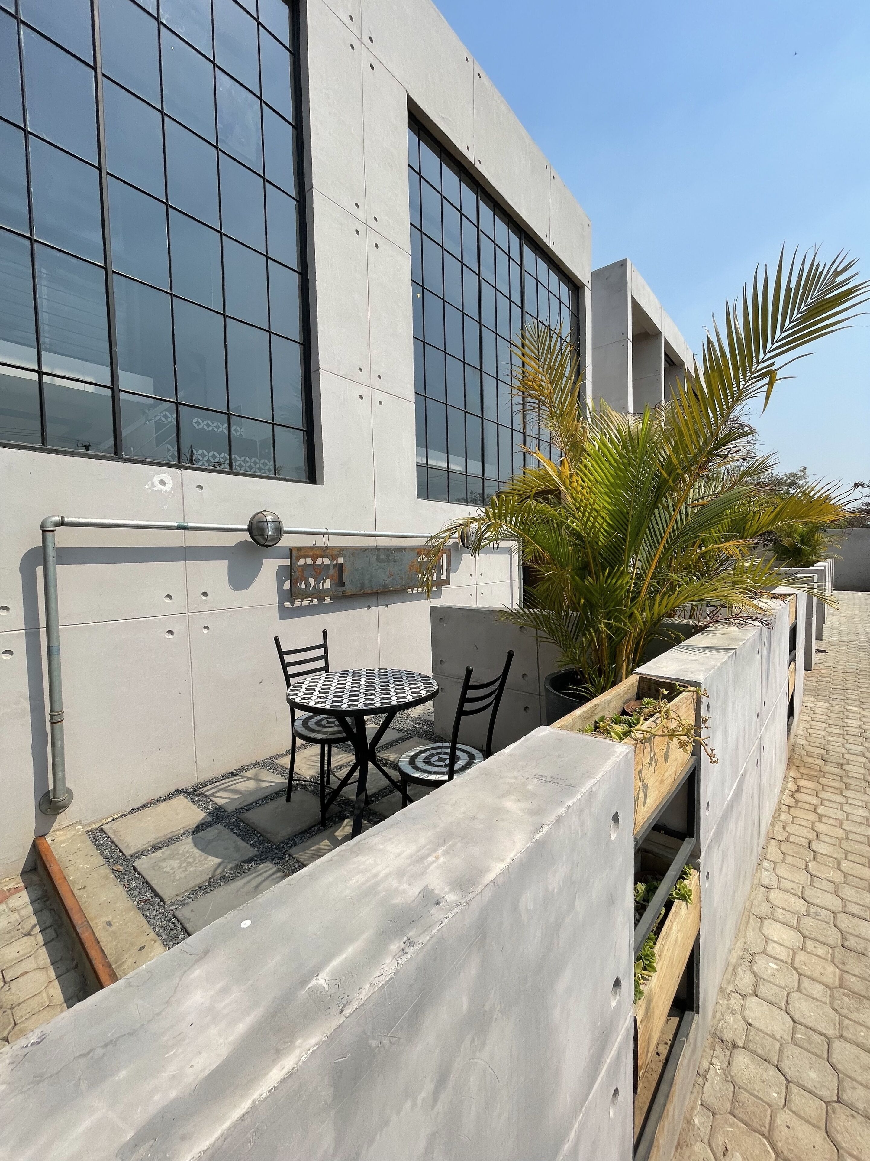 A modern outdoor patio with a table and chairs, a concrete wall, and a palm plant.