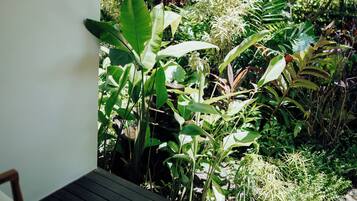 A wooden deck with a bench, surrounded by lush tropical plants and a wall-mounted sign.