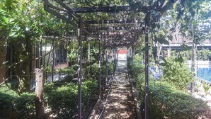Un sendero cubierto en un jardín con una estructura de pérgola, rodeado de follaje denso y un edificio de ladrillo al fondo.