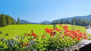 En grön äng med röda blommor i förgrunden, en klar himmel och berg i bakgrunden.