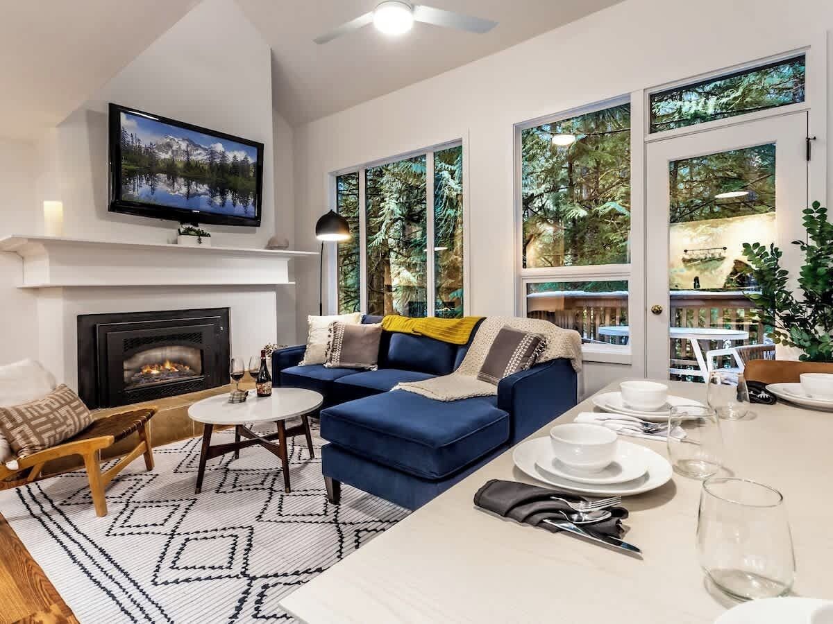 TV, fireplace, ping pong, books