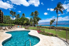 A heated pool - Maalaea Banyans 418:  “Hop” into Spring! Reduced Rates! Free Activities! (Wailuku)