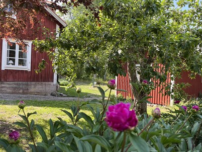 Cute cottage in the countryside in Sörmland with horses and forest as neighbors!