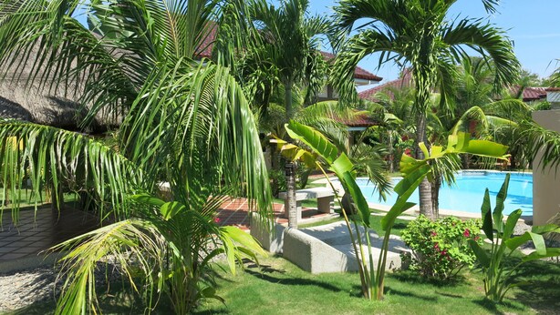 A pool surrounded by lush tropical vegetation, including palm trees and banana plants. - Alona's Coral Garden Resort  (Panglao)