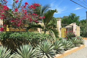 Un jardín bien cuidado con diversas plantas y una verja decorativa.