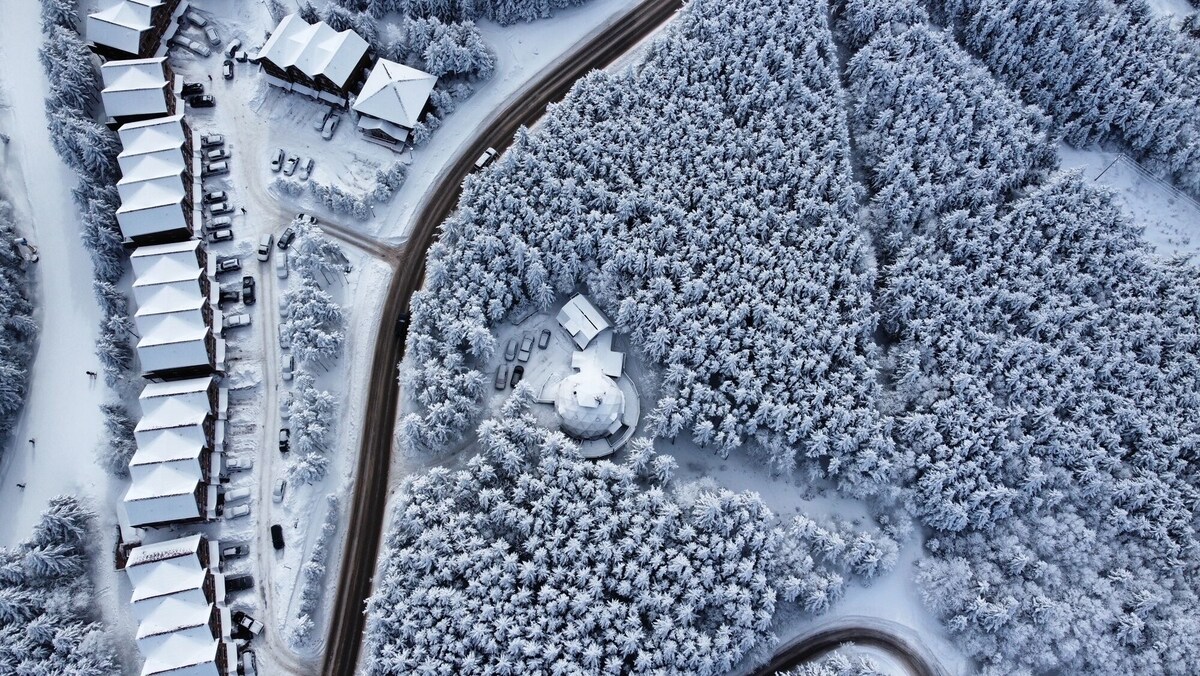 オーナーのプロフィール画像