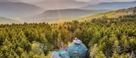 A geodesic dome house surrounded by dense forest, with a view of distant mountains.