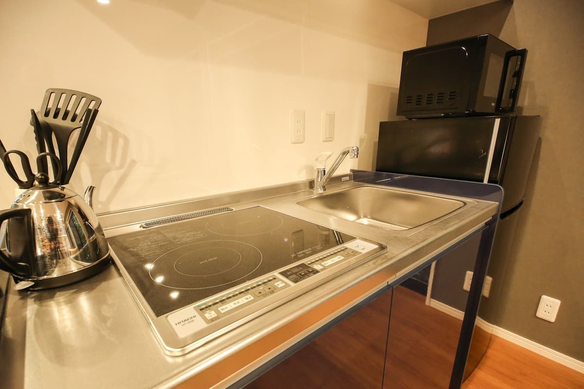 A kitchenette with a stainless steel induction cooktop, a double sink, a microwave, and a kettle.