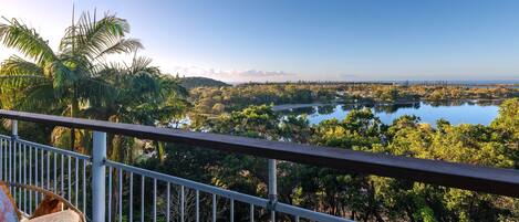 A balcony with a view of a lake, surrounded by trees and palm trees.