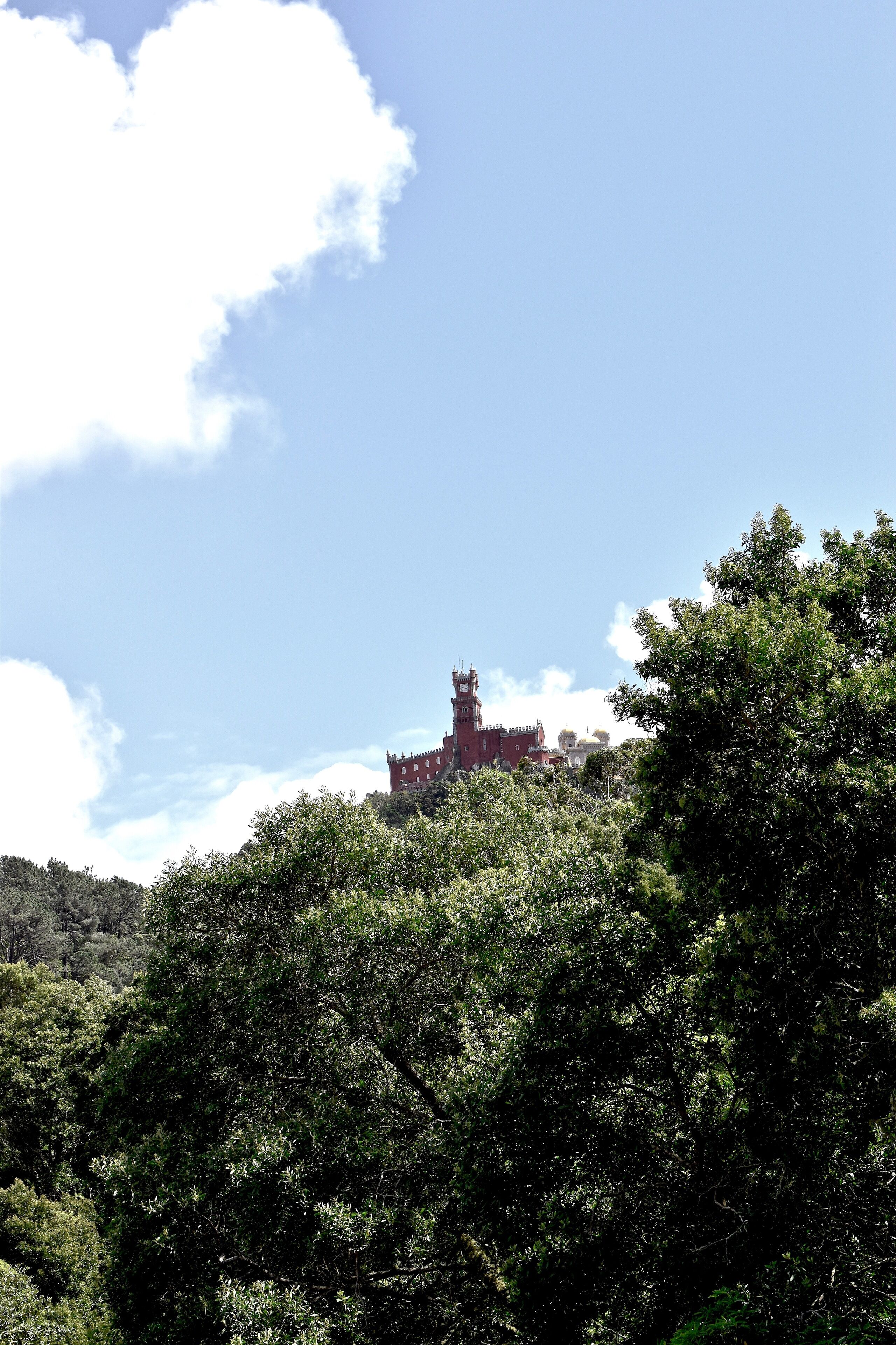 Un bâtiment qui ressemble à un château, entouré d’une végétation luxuriante.