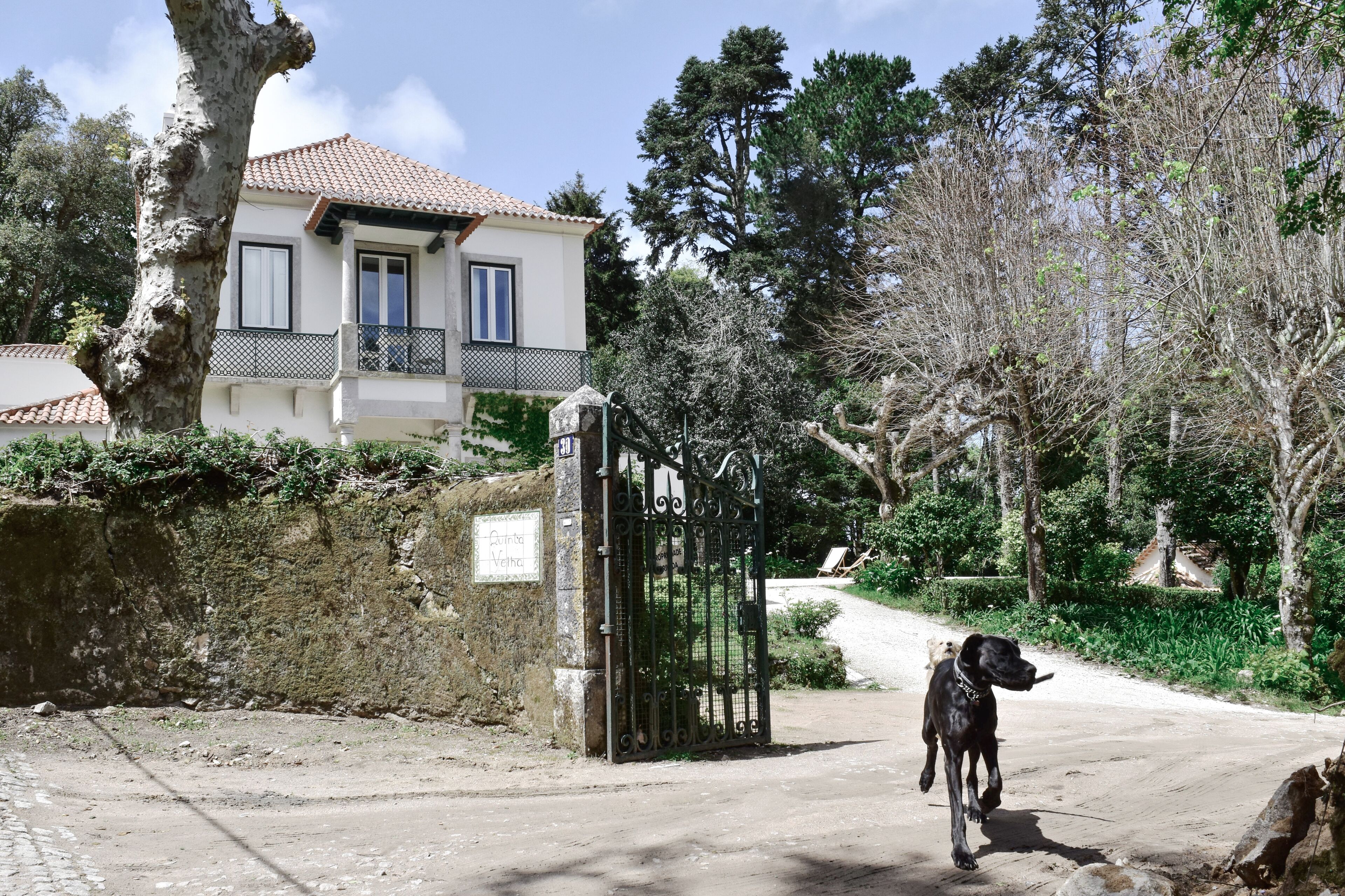 Photo - Eighteen21 Houses - Quinta Velha