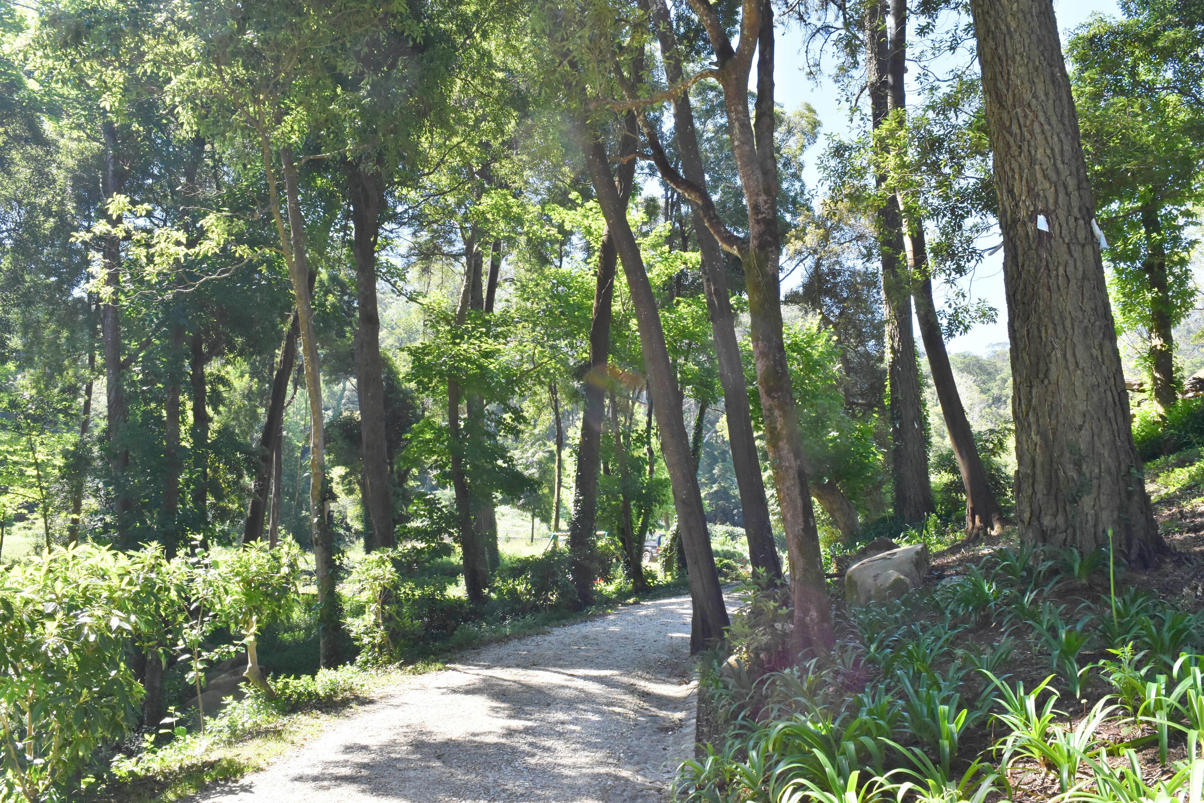 Photo - Eighteen21 Houses - Quinta Velha