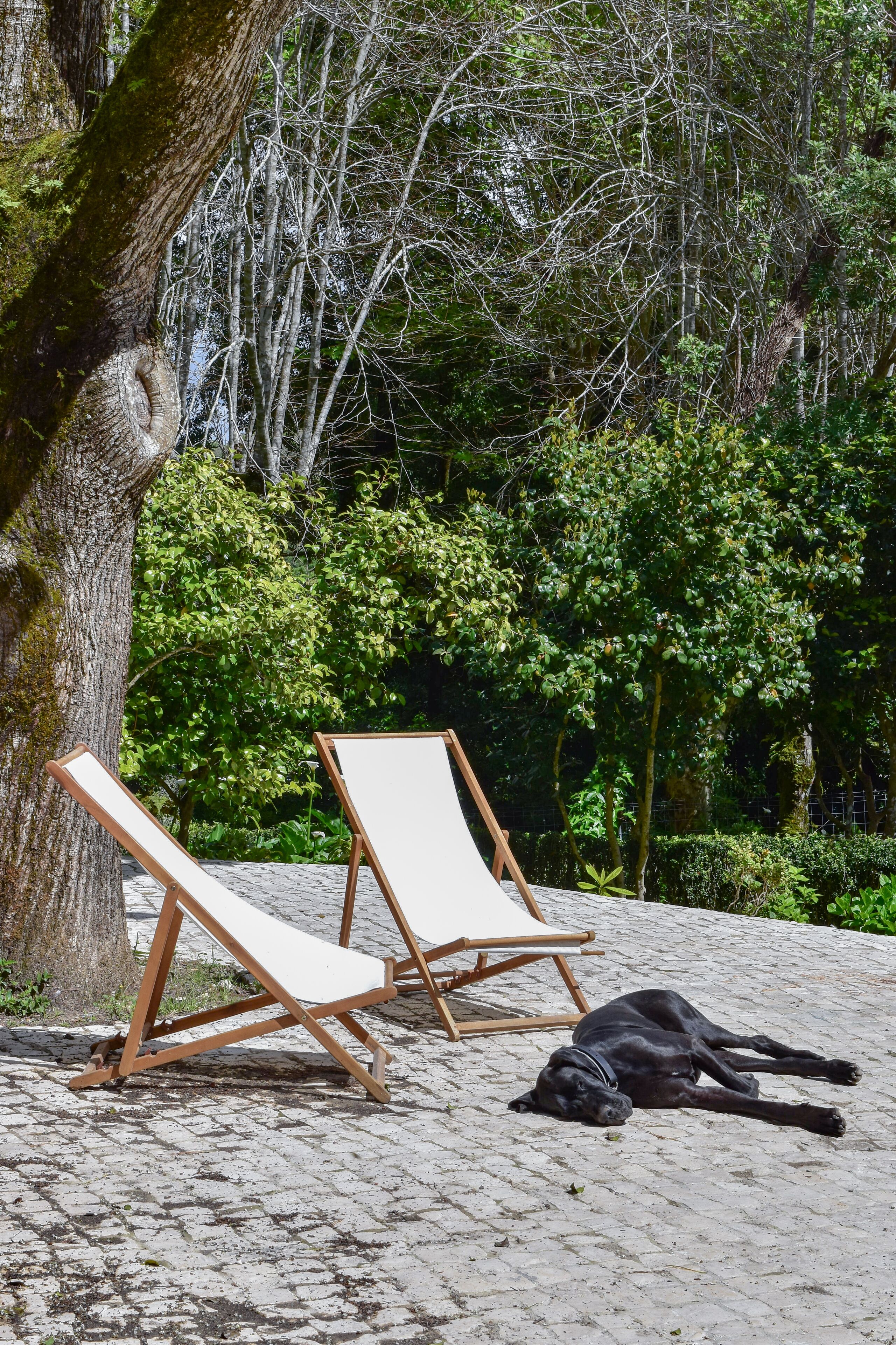 Photo - Eighteen21 Houses - Quinta Velha