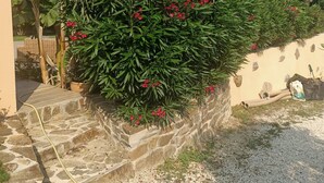 A garden area with a stone wall, a potted plant, and a hose. - Pretty villa with sea view and pool **** (Bormes-les-Mimosas)