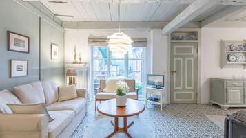 Télévision, cheminée, lecteur de DVD, livres