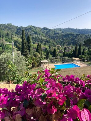 Property grounds - Country house in the Tuscan hills with private pool.  (Nocchi Camaiore)