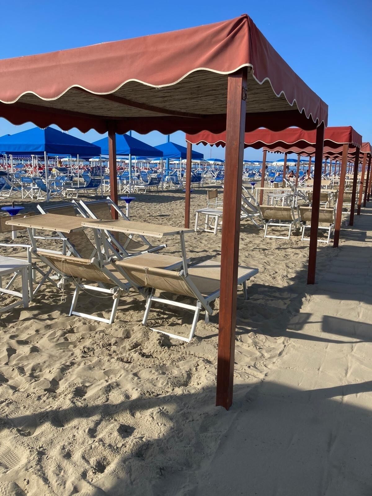 Lettini da mare