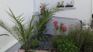 A small garden area with various plants and flowers, a white wall, and a window with a plant on the sill. - Geranium Apartment 3* (Colmar)