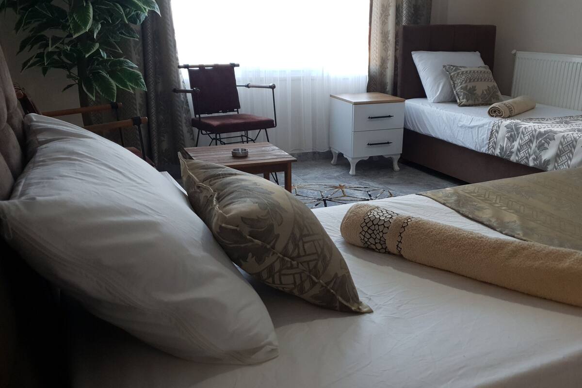 A hotel room with two beds, a desk, a chair, and a large plant.